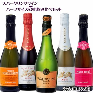 スパークリングワイン ハーフサイズ 5本飲み比べセット 375ml×5本 送料無料(一部地域を除く) 白 赤 ロゼ イタリア チリ　ギフト プレゼ