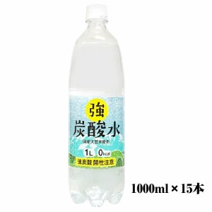 ケース売り 友桝飲料 強炭酸水 1000ml×15本 1ケース 送料無料（一部地域を除く） 長野県御嶽山系天然水使用