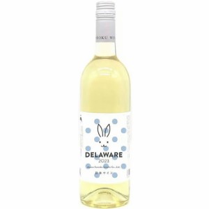 白ワイン 辛口 吾妻山麓醸造所 デラウェア 750ml 2023 DELAWARE 福島 ふくしま 新酒　ギフト プレゼント(4582611390191)