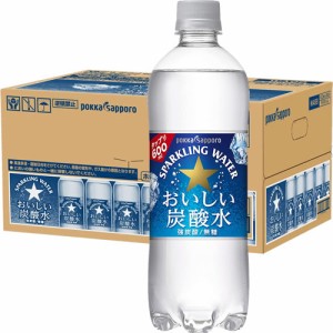 サッポロ おいしい炭酸水 600ml×24本 1ケース 送料無料(一部地域を除く)　ギフト プレゼント(4589850826252