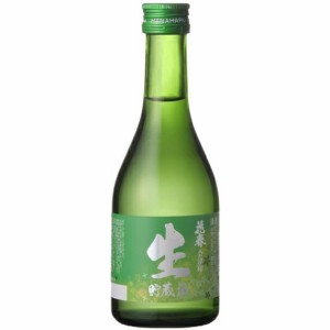 クール代込 花春酒造　生貯蔵酒　300ｍｌ [要冷蔵]　ギフト プレゼント(49712476)