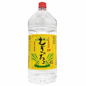 【老松焼酎】むぎっちょ　25度　本格麦焼酎　ペット　4000ｍｌ　大容量　　【4個まで1個口配送可能】　ギフト プレゼント(4968167083372)