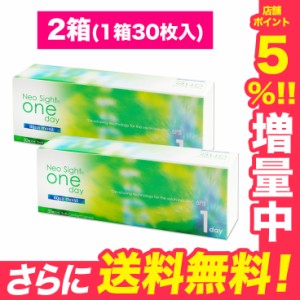 【送料無料】ネオサイトワンデー アクアモイスト【2箱(1箱30枚)】1day コンタクトレンズ 使い捨て 1day ソフト コンタクトレンズ ワンデ