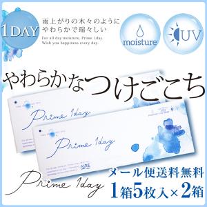 お試し コンタクト レンズの通販 Au Pay マーケット