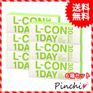 【送料無料】エルコンワンデー【6箱(1箱30枚)】1day コンタクトレンズ 使い捨てコンタクトレンズ 1day ソフトコンタクトレンズ ワンデー 