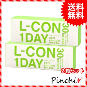 【送料無料】エルコンワンデー【2箱(1箱30枚)】1day コンタクトレンズ 30枚 2箱 使い捨てコンタクトレンズ 1day ソフトコンタクトレンズ 