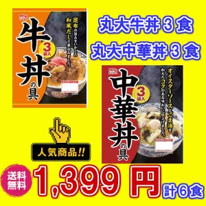 送無 丸大中華丼&牛丼 6食 レトルト食品 保存食品