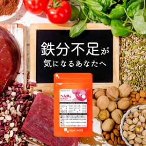 お徳用ヘム鉄&ビタミン（約3ヶ月分） サプリメント 健康食品 ヘムテツ ミネラル 鉄分 _JH _3K  32003