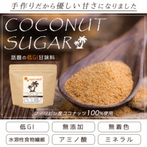 ココナッツシュガー（150g） ダイエット ダイエット食品 健康食品 食物繊維 低GI 無添加 無着色 _JD _JH _JF  41001