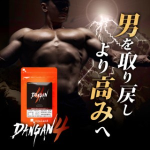 DANGAN4（約3ヶ月分） サプリメント 元気 亜鉛 マカ メンズ 男性必見 継続 モテる マムシ _JH _MEN _3K  11019