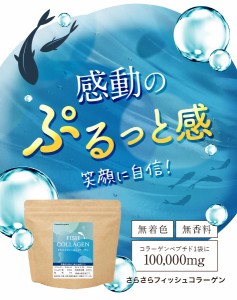 さらさらフィッシュコラーゲン（100ｇ）【3個セット】ペプチド 吸収 粉末 美容 スキンケア ドリンク 味 分子量 魚皮 鱗 ハリ オーガラン