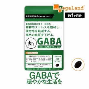 GABA（約1ヶ月分）機能性表示食品 サプリメント GABA ギャバ リラックス 血圧 ストレス 疲労感 亜麻仁油 高麗人参 健康 美容 _JB_JH _1K 