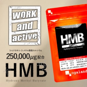 ◆6個セット◆HMBカルシウム（6個セット・360粒） オーガランド 健康食品 トレーニング ジム 必須アミノ酸 _JH _6K _MEN  11087