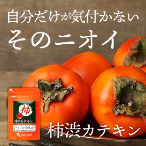 ◆6個セット◆柿渋カテキン（約6ヶ月分） サプリメント デオドラント エチケット におい 香り _JH _6K  19017