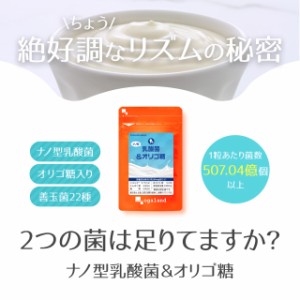 【テレビで話題のオリゴ糖】 お徳用ナノ型乳酸菌&オリゴ糖（約3ヶ月分） 乳酸菌 ヨーグルト フラクトオリゴ糖 トイレ習慣 健康食品 ダイ