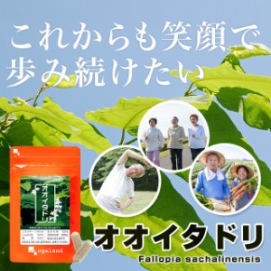 オオイタドリ（約1ヶ月分） オーガランド 健康食品 運動の違和感 レスベラ アミノ酸 緑イ貝 _JH _1K  19027