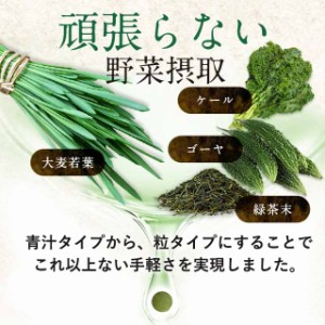 大麦若葉粒タイプ（約1ヶ月分） サプリメント 健康食品 ケール 緑茶 緑茶末 食物繊維 国産 野菜 青汁 粉末 粒 一日分 1日分 大麦 大麦若