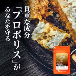 プロポリスゴールド（約3ヶ月分）【賞味期限：25年3月末まで】  アミノ酸 ミネラル ビタミン はちみつ 予防 健康 サプリメント ローヤル