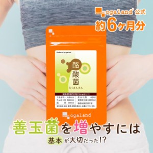 酪酸菌 （約6ヶ月分） サプリメント ダイエット 悪玉菌 善玉菌  乳酸菌 ビフィズス菌 乳酸菌 健康 トイレ _JH _JD _6K  29002