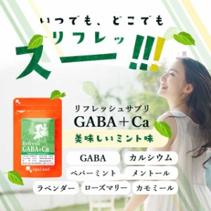 【大容量】 リフレッシュサプリ GABA +Ca（約6ヶ月分） 送料無料 食べる GABA サプリ カルシウム リラックス リフレッシュ ペパーミント 