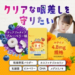 ルテイン ジュニア （約3ヶ月分） 送料無料 子供用 サプリ キッズ サプリメント ブルーベリー味 野菜 栄養 アントシアニン 目薬の木 ビル