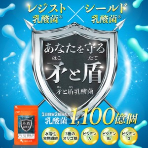 矛と盾乳酸菌（6個セット・約6ヶ月分）乳酸菌 ヨーグルト フラクトオリゴ糖 ビタミンD ビタミンB6 ビタミンA 水溶性食物繊維 菌活 ダイエ