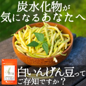 お徳用白いんげん豆サプリ（約3ヶ月分） 送料無料 ダイエット 白インゲン豆 糖質カット 糖質OFF 炭水化物 カット サプリメント _JD _3K  