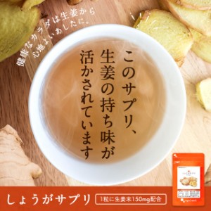 生姜 サプリ（約6ヶ月分） ショウガ  生姜 生姜パウダー しょうが サプリ 寒さ対策 しょうが 紅茶 しょうが 粉末 サプリメント _JH _6K  
