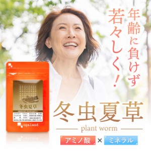 冬虫夏草(約1ヶ月分)【賞味期限：25年3月末まで】 ミネラル ダイエット サプリメント ビタミン 忙しい毎日 元気 健康ケア アミノ酸 亜鉛 