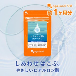 Ｗ低分子ヒアルロン酸＆コラーゲン（約1ヶ月分） 健康食品 美容 潤い ハリ コラーゲン ヒアルロン酸 _JB _1K  19003