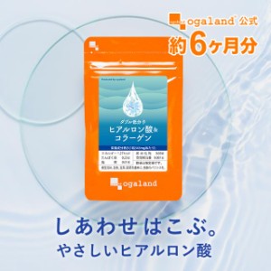 ◆約6ヶ月分◆Ｗ低分子ヒアルロン酸＆コラーゲン（2個セット・約6ヶ月分） サプリメント 健康食品 美容 潤い ハリ ヒアルロン コラーゲン