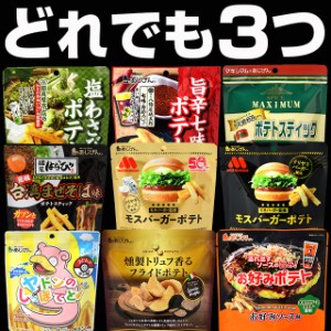 どれでも3つ選べるじゃがスナック お試し ポイント消化 おつまみ ポテトスナック おやつ 送料無料