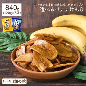 選べるバナナけんぴ 120g×7袋 バナナけんぴ 塩バナナけんぴ バナナチップス お菓子 メガ盛り 徳用 得用 おやつ 家飲み 送料無料