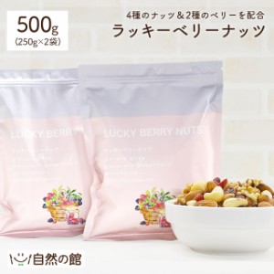 ラッキーベリーナッツ 500g(250g×2) 送料無料 無塩 ナッツ ベリー ミックスナッツ トレイルミックス 自然の館