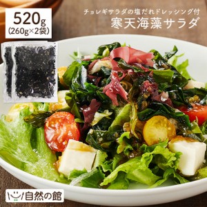 まとめ買い 送料無料 寒天海藻サラダ メガ盛520g(260g×2) 味噌汁の具 ダイエット 訳あり 置き換え 非常食 保存食