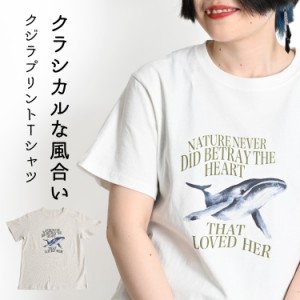 Tシャツ レディース 半袖 夏 半袖Tシャツ ティーシャツ アニマル 動物 くじら プリント イラスト トップス rb70083