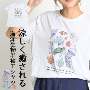 Tシャツ レディース 半袖 春 夏 カットソー 白 大きいサイズ プリント 亀 海 生き物 無地 半袖Tシャツ rb61039