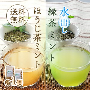 水出し 緑茶ミント ハーブティー ほうじ茶ミント 各1個　4g×12包×2個セット ペパーミント スティックパック おいしい お茶 送料無料