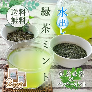 水出し 緑茶ミント ハーブティー 4g×12包×2個セット かぶせ茶×ペパーミント スティックパック おいしい 送料無料