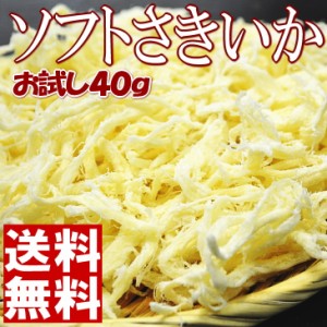 【全国送料無料】ポイント消化 お試し 300円 珍味 おつまみ おやつ 酒の肴 ビールのお供 イカ ソフトさきいか 40g/常温保存/定形郵便/代