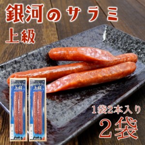 【全国送料無料】ポイント消化 500円 お試し 珍味 おつまみ 酒の肴 上級 銀河のサラミ2本入×2パック/常温保存/メール便/代引き不可