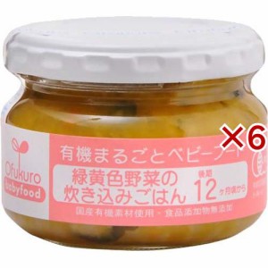 緑黄色野菜の炊き込みごはん(100g×6セット)[レトルト]