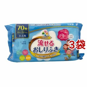 大人用おしりふき 流せるタイプ(70枚入*3コセット)[おしりふき]