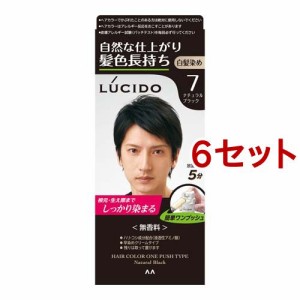 ルシード ワンプッシュケアカラー 7 ナチュラルブラック(50g+50g*6セット)[白髪染め 男性用]