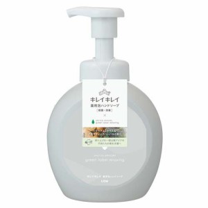 【企画品】キレイキレイ薬用泡ハンドソープ本体大型 グリーンレーベルリラクシングコラボ(500ml)[泡ハンドソープ]