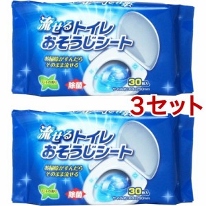 流せるトイレおそうじシート 除菌 ミントの香り QB-117N(30枚入*2個*3セット)[トイレ用品 その他]