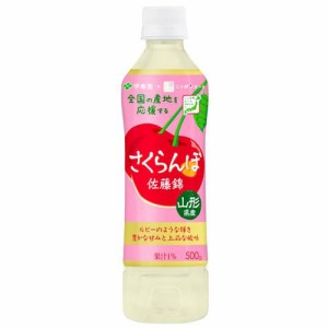 伊藤園 さくらんぼ 山形県産佐藤錦 ニッポンエール(500g×24本)[フルーツジュース]