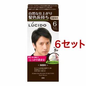 ルシード ワンプッシュケアカラー 6 ダークブラウン(50g+50g*6セット)[白髪染め 男性用]