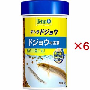 テトラ ドジョウ(48g×6セット)[観賞魚用 餌(エサ)]