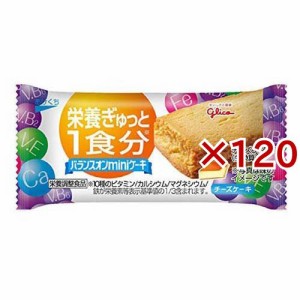 バランスオン ミニケーキ チーズケーキ(120セット)[お菓子 その他]